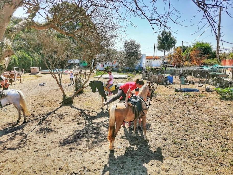 Granja America Apartment Chiclana de la Frontera Ngoại thất bức ảnh
