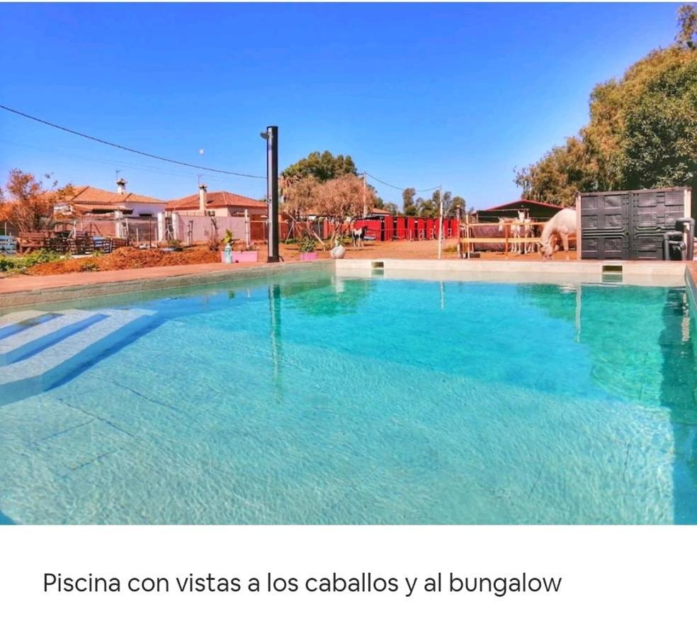 Granja America Apartment Chiclana de la Frontera Ngoại thất bức ảnh